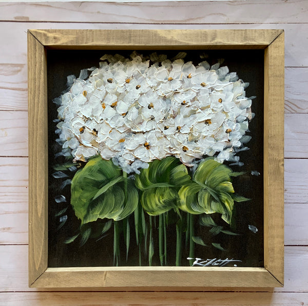 Hydrangeas on black