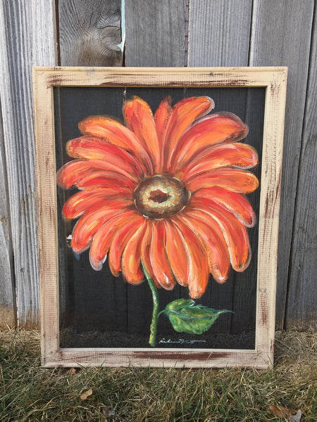 Orange Gerbera daisy, flower on window screen