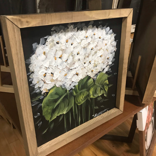 Hydrangeas on black